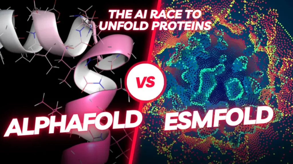 AlphaFold vs. ESMFold