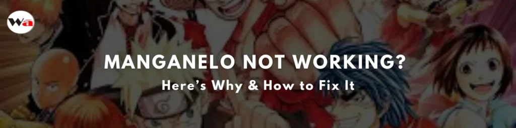 Manganelo Not Working